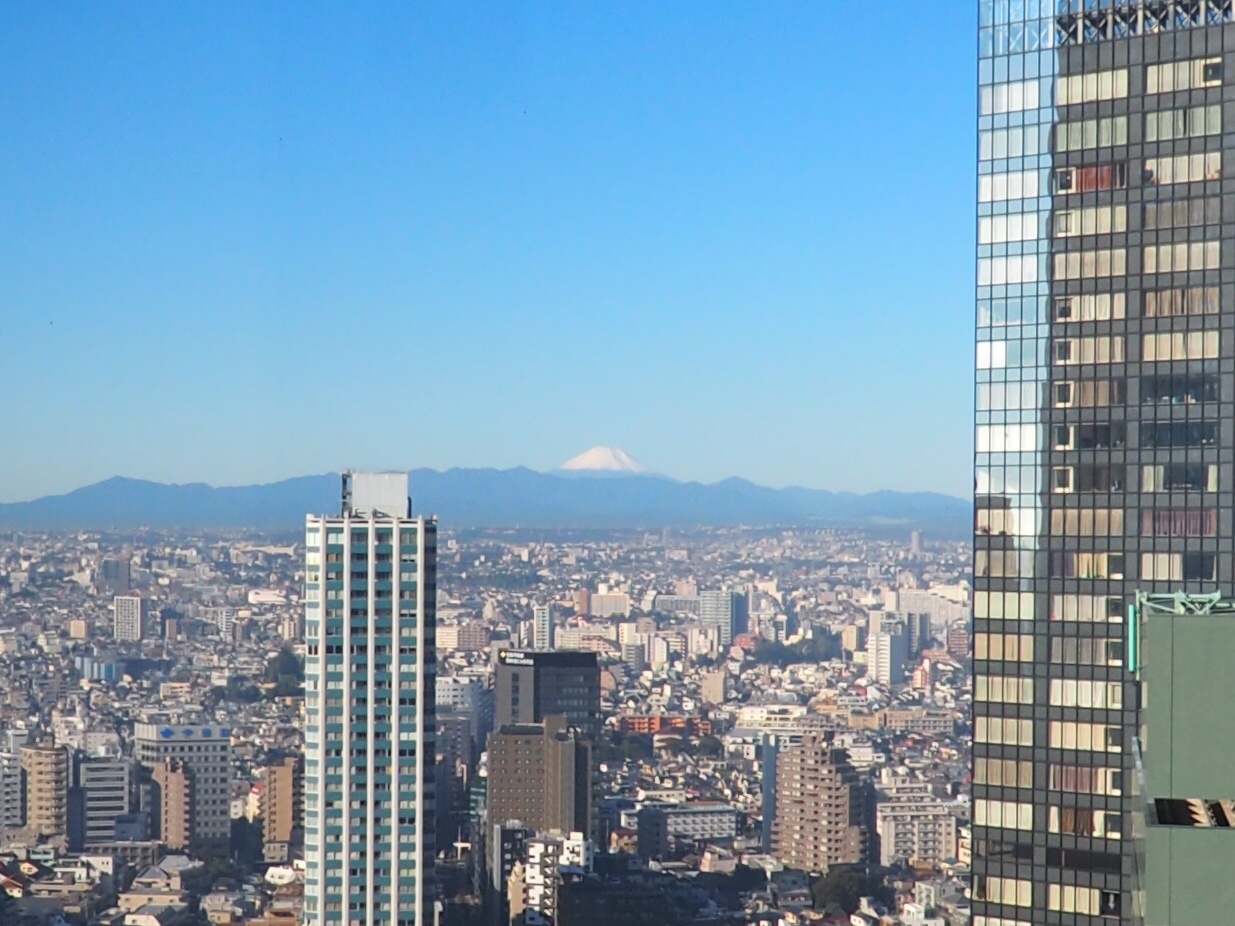 Mt Fuji from the Hilton